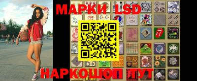 крисы Шахты