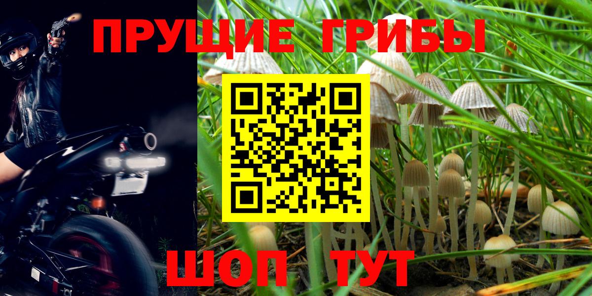 Оренбург  Псилоцибиновые грибы MAGIC MUSHROOMS  Вход с VPN 